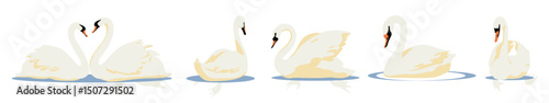 Swans, water birds. Large graceful wild waterfowl animals with long neck, white feathers. Wings spread for flying, swimming, forming heart shape for love, romantic couple. Flat vector illustration