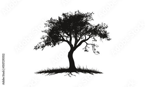 Elm Tree Silhouette Set, forest art in autumn prairie scene, seasonal nature, black tree, vintage tree, nature clipart, tree vector, vector illustration, landscape design, botanical drawing.