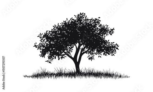 Elm Tree Silhouette Set, Prairie Scene, Spring Wild Tree, Hand-drawn Nature Clipart, Forest Silhouette, Tree Vector Illustration, rustic landscape, woodland art, png.