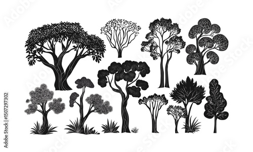Eucalyptus tree silhouette, rainforest elements, spring mood, black tree, organic design, engraving style, forest scene, nature illustration, vector illustration.