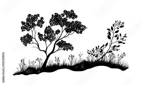 Tropical rainforest vector illustration, eucalyptus tree outline, wild tree silhouette, organic forest design, black tree form, botanical nature, spring season greenery, jungle plants.