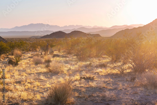 Fotografija Arizona desert