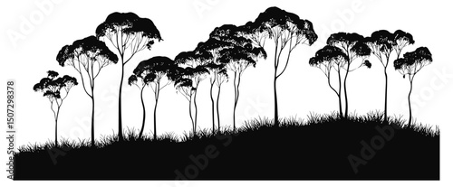 Wild eucalyptus tree silhouette, rainforest forest art, nature clipart, black tree, spring scenery, tropical plants, environmental illustration, tree vector, vector illustration, natural habitat