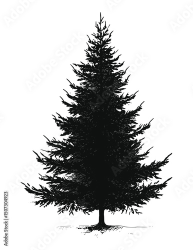Black Fir Tree, minimalist woodland elements, Arctic organic forest, isolated hand-drawn tree, vector illustration, evergreen conifer, seasonal nature, wilderness background. christmas tree