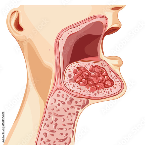Detailed Anatomy of Thyroid Gland with Nodules Illustration Showing Structure Cellular Detail Internal Organ for Medical and Scientific Study Research