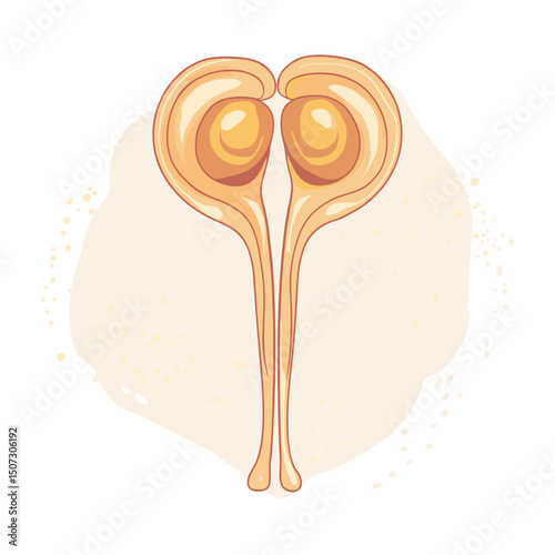 Detailed Beige Human Anatomy Sciatic Nerves System Diagram Illustration on White Background Internal Structure Medical Healthcare Design