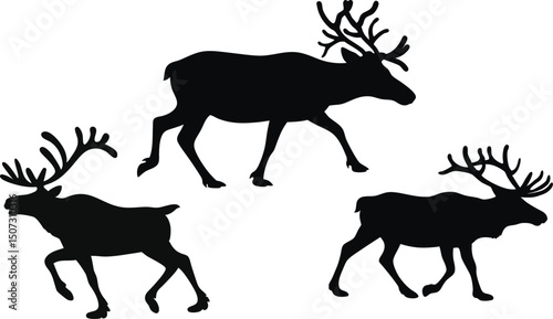 Silhouette of Reindeer Herd Walking – Vector Illustration for Wildlife and Nature Designs, Reindeer isolated on white background, eps10.