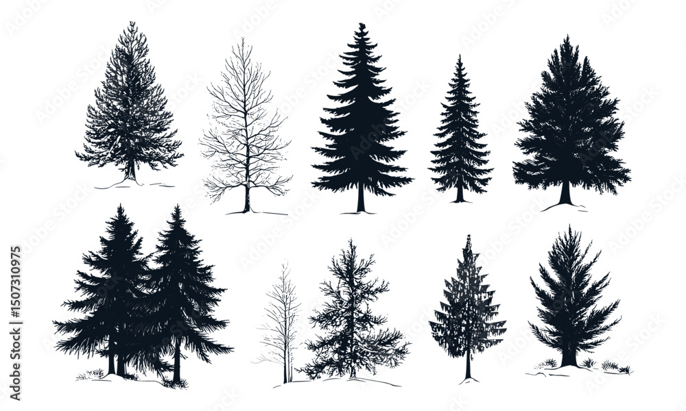 Fototapeta premium Engraved Alpine Scene, Foggy Spruce Trees, Northern Winter Landscape, Snow Forest Clipart, Cold Climate Vector Pack, Vector Illustration, Mountain Winter Nature Elements, christmas tree