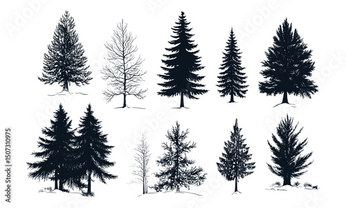Engraved Alpine Scene, Foggy Spruce Trees, Northern Winter Landscape, Snow Forest Clipart, Cold Climate Vector Pack, Vector Illustration, Mountain Winter Nature Elements, christmas tree