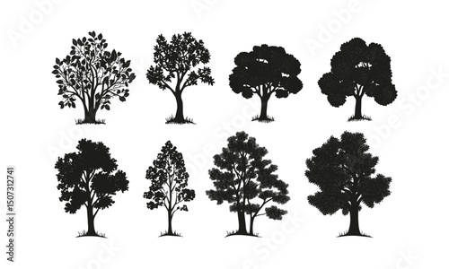 Ash Tree Silhouettes in Forest, Hiking Trail Scene, Woodland Canopy Vector Illustration, Engraved Bark Texture, Nature Landscape, Outdoor Pathway.
