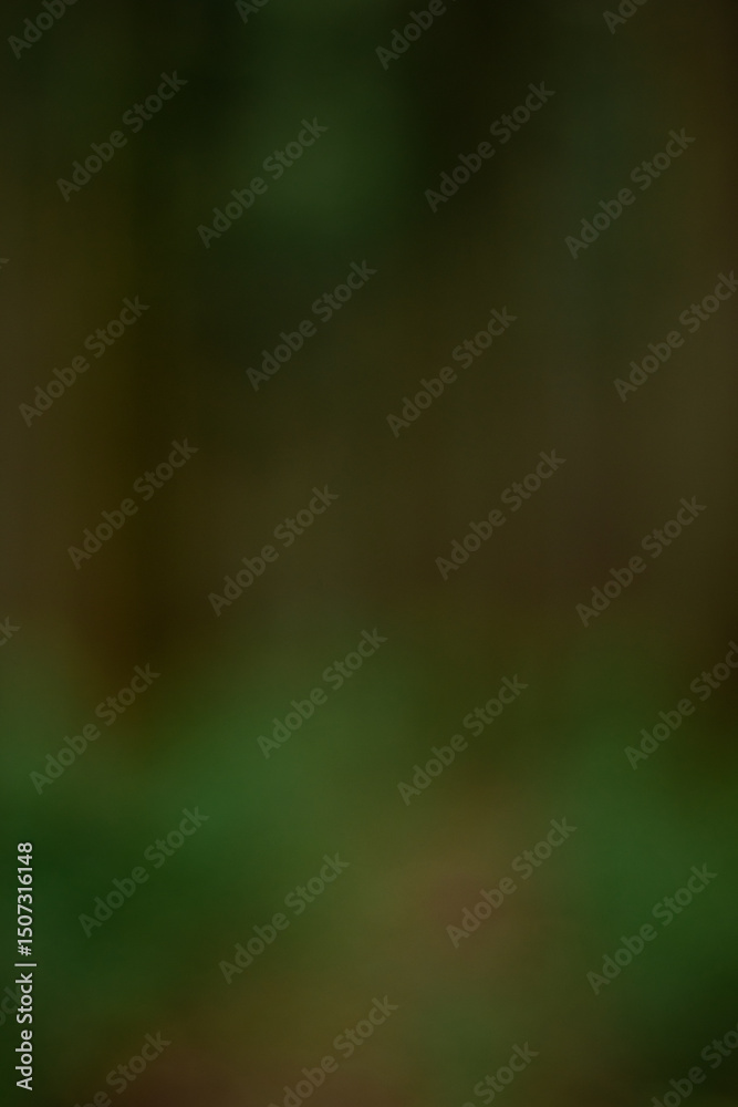 Obraz premium Pine Forest Nature of Summer. Green Background.deep green thick forest with high grass on ground and high dark thin tree .