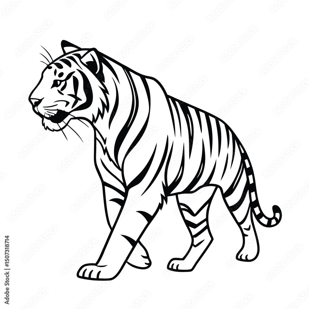 Fototapeta premium Sumatran Tiger line Art vector on white background