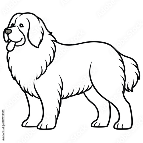 Newfoundland dog outline drawing standing calmly isolated on white background fluffy breed.