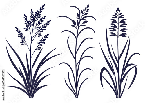 Set of reed plant vector silhouettes in dark blue for design elements.
