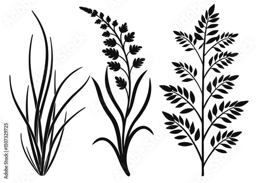 Three abstract floral plant illustrations in black and white silhouette style design.