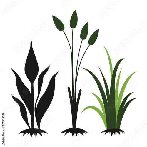 Three aquatic plants silhouette illustration with roots on white background vector art.