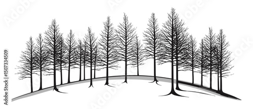 Engraved cold weather vector illustration, Frozen Field Larch Tree Silhouettes, winter wilderness silhouette, snow plains art, icy tree clipart, frosty landscape, nature winter scene, seasonal forest,