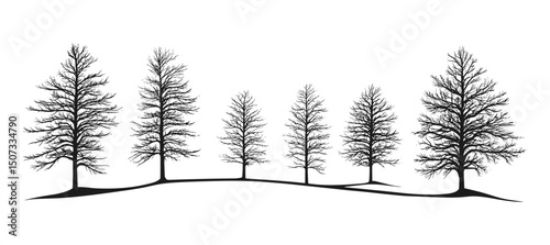 Icy tree clipart, Frozen Field Larch Tree Silhouettes, snow plains art, winter wilderness silhouette, engraved cold weather vector illustration, frost landscape, cold season nature, tranquil forest.