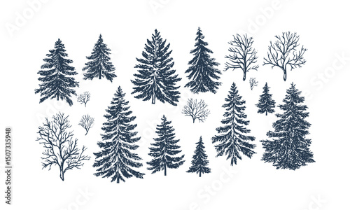 Frozen highland fir tree silhouettes, icy evergreen vector illustration, snow forest scene, cold mountain trees, engraved wilderness clipart, frosty pine forest, winter nature scenery, christmas tree