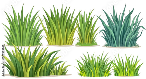 green turf set, grass flat design, grass simple illustration, grass outline, grass cartoon pack, leafy grass set, summer nature grass, wildland grass, grass bundle illustration, grass growth stages, d