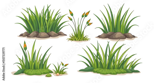 wild meadow grass, green turf set, grass flat design, grass simple illustration, grass outline, grass cartoon pack, leafy grass set, summer nature grass, wildland grass, grass bundle illustration, gra