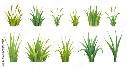 grass clumps, grass bunch vector, field grass drawing, botanical grass set, grass icon pack, wild meadow grass, green turf set, grass flat design, grass simple illustration, grass outline, grass carto