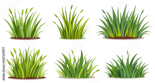 grass border illustration, grass clumps, grass bunch vector, field grass drawing, botanical grass set, grass icon pack, wild meadow grass, green turf set, grass flat design, grass simple illustration,
