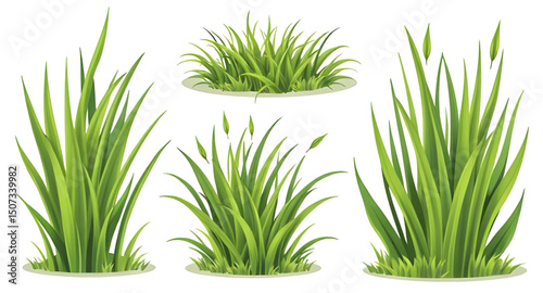 grass set, grass border illustration, grass clumps, grass bunch vector, field grass drawing, botanical grass set, grass icon pack, wild meadow grass, green turf set, grass flat design, grass simple il