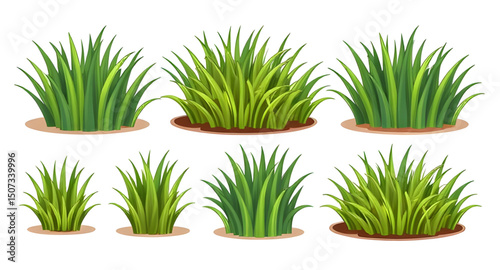 nature grass design, eco grass set, grass border illustration, grass clumps, grass bunch vector, field grass drawing, botanical grass set, grass icon pack, wild meadow grass, green turf set, grass fla
