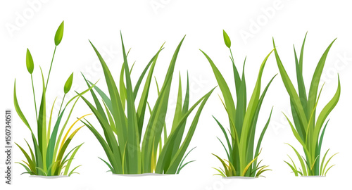grass clipart, summer grass set, natural grass design, grass field vector, grass collection, grass bundle, wild grass set, grass pattern, isolated grass, grass patch, green lawn vector, cartoon lawn g