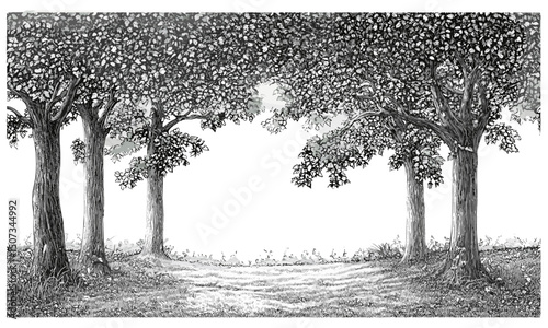 Chestnut tree silhouettes, hazy grove, autumn forest vector illustration, engraved leaf canopy, rural landscape, misty morning scenery, woodland environment, peaceful nature.