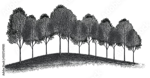 Leafy wetland forest, hillside alder tree silhouettes, soft branch trees, spring rain scene, early greenery art, engraved style vector illustration, seasonal clipart, natural environment.