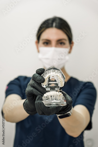 Blurry female dentist presenting artificial teeth model to camera