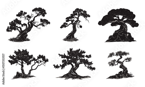 Forest Silhouette Juniper Tree Minimal Art Pack, wild tree, tree clipart, natural art, engraving style, vector illustration, rustic forest, nature scene, dry theme, transparent background.
