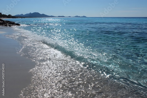 Tropical Paradisiaca shore with clear blue waters  
 photo