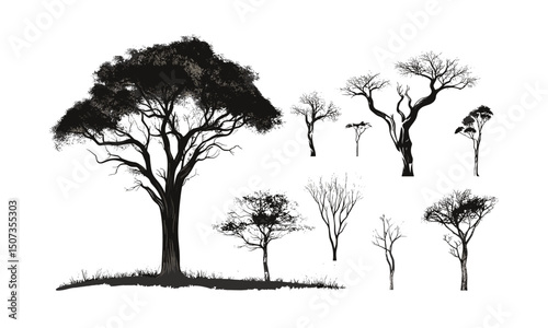 Isolated Acacia Tree, dry savanna, forest silhouette, hand-drawn wild nature, nature clipart, vector illustration, African wildlife, outdoor landscape, natural habitat, eco design elements.