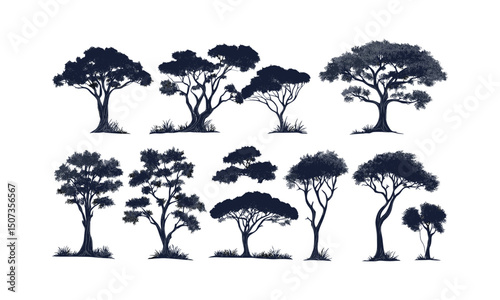 Vector illustration of acacia tree, savanna silhouettes, isolated tree, forest outline, hand-drawn style, wild nature, organic design, wildlife scenery, African grassland, natural environment.