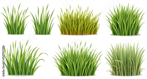 set of grass vector , Grass vector, Grass clipart, Green grass vector, Grass blades vector, Lawn vector, Realistic grass vector, Grass illustration, Cartoon grass vector