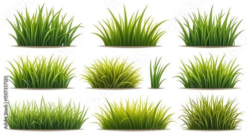 set of grass vector , Grass vector, Grass clipart, Green grass vector, Grass blades vector, Lawn vector, Realistic grass vector, Grass illustration, Cartoon grass vector