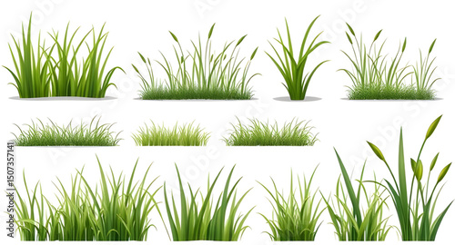 set of grass vector , Grass vector, Grass clipart, Green grass vector, Grass blades vector, Lawn vector, Realistic grass vector, Grass illustration, Cartoon grass vector