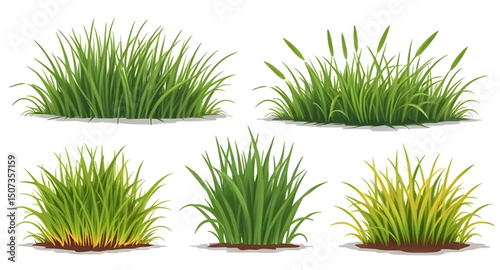 set of grass vector , Grass vector, Grass clipart, Green grass vector, Grass blades vector, Lawn vector, Realistic grass vector, Grass illustration, Cartoon grass vector
