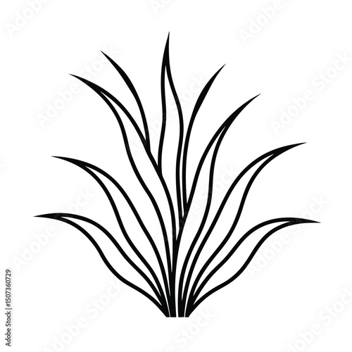 Seagrass Wall Decor