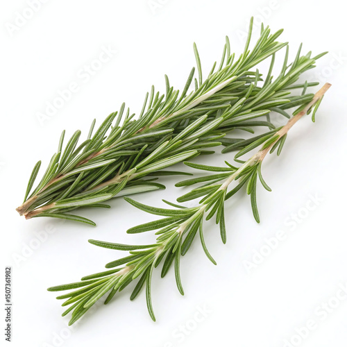 Fresh Rosemary Sprigs Aromatic Herb on White Background photo