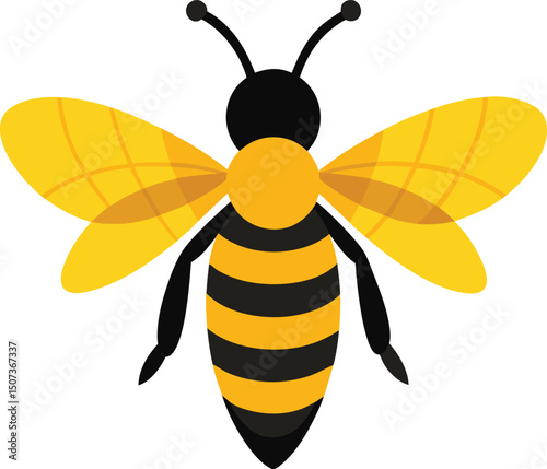 bee on a white