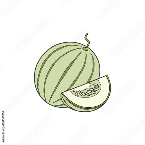 Vector art of Honeydew melon and slice isolated on white background, healthy fruit