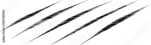 Four scratch marks claw scratches animal wild