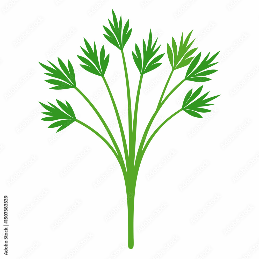 Obraz premium bunch of parsley