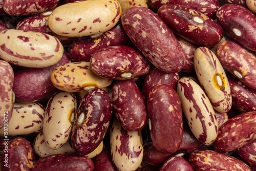multicolored homegrown delicious kidney beans