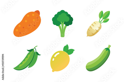 A set of colorful vegetable vector art illustration(H)
