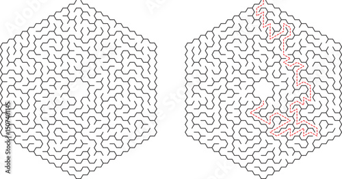 Hexagonal Maze Puzzle Solution and Unsolved Complex Labyrinth